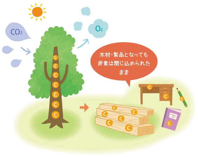 炭素貯蔵のイラスト