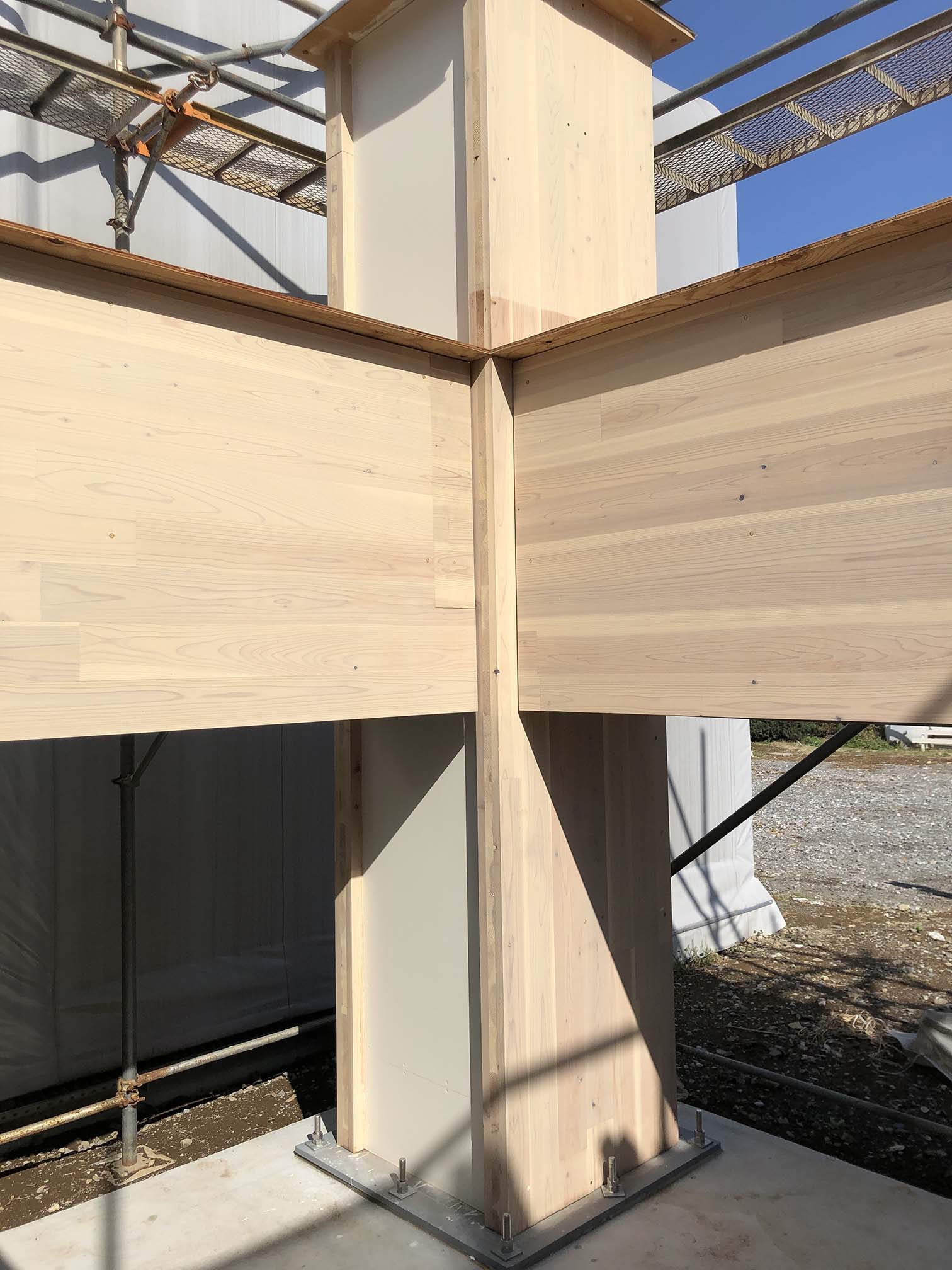 木ぐるみCT実物写真